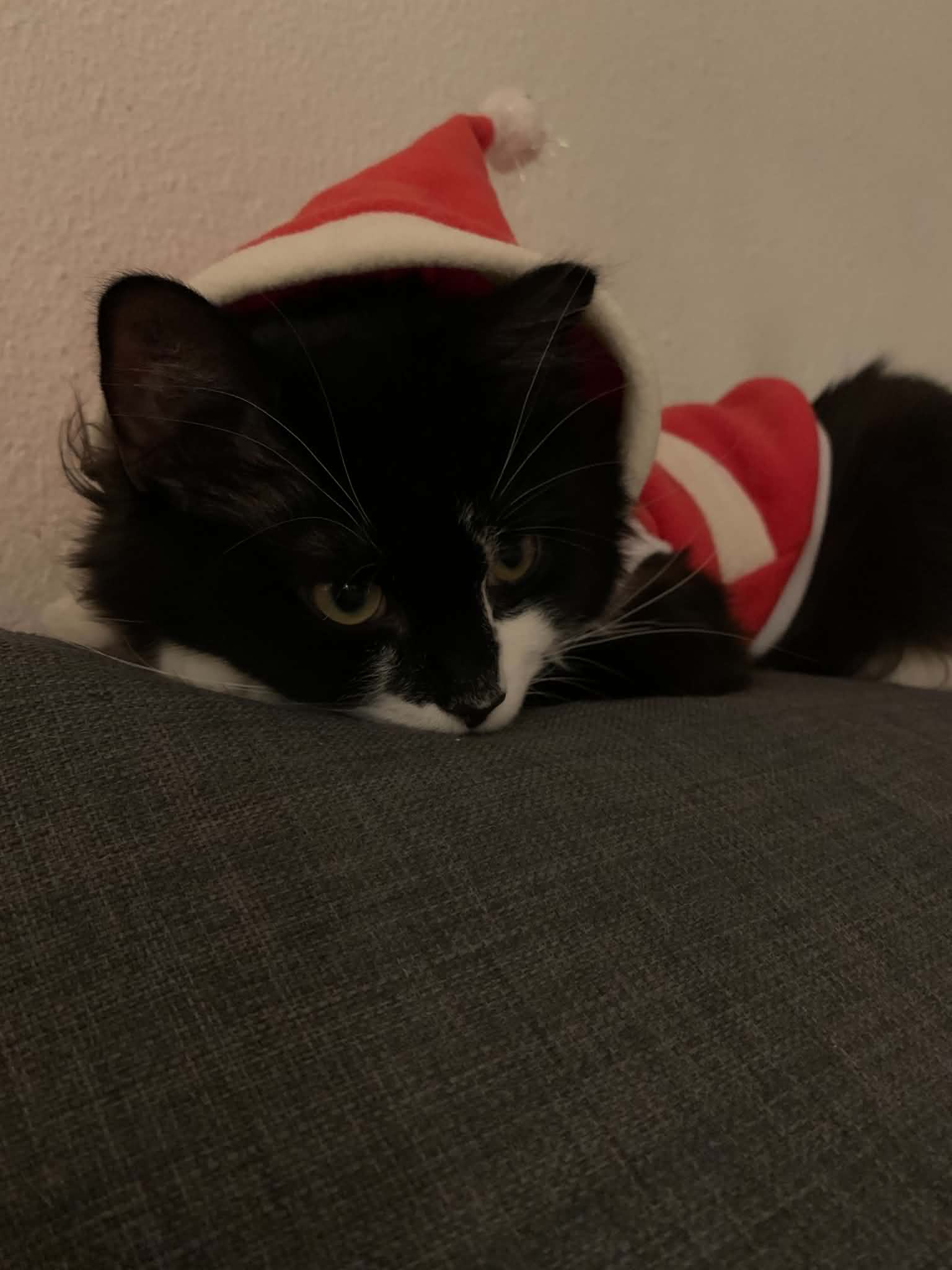Tarsen i julemandskostume på sofaen